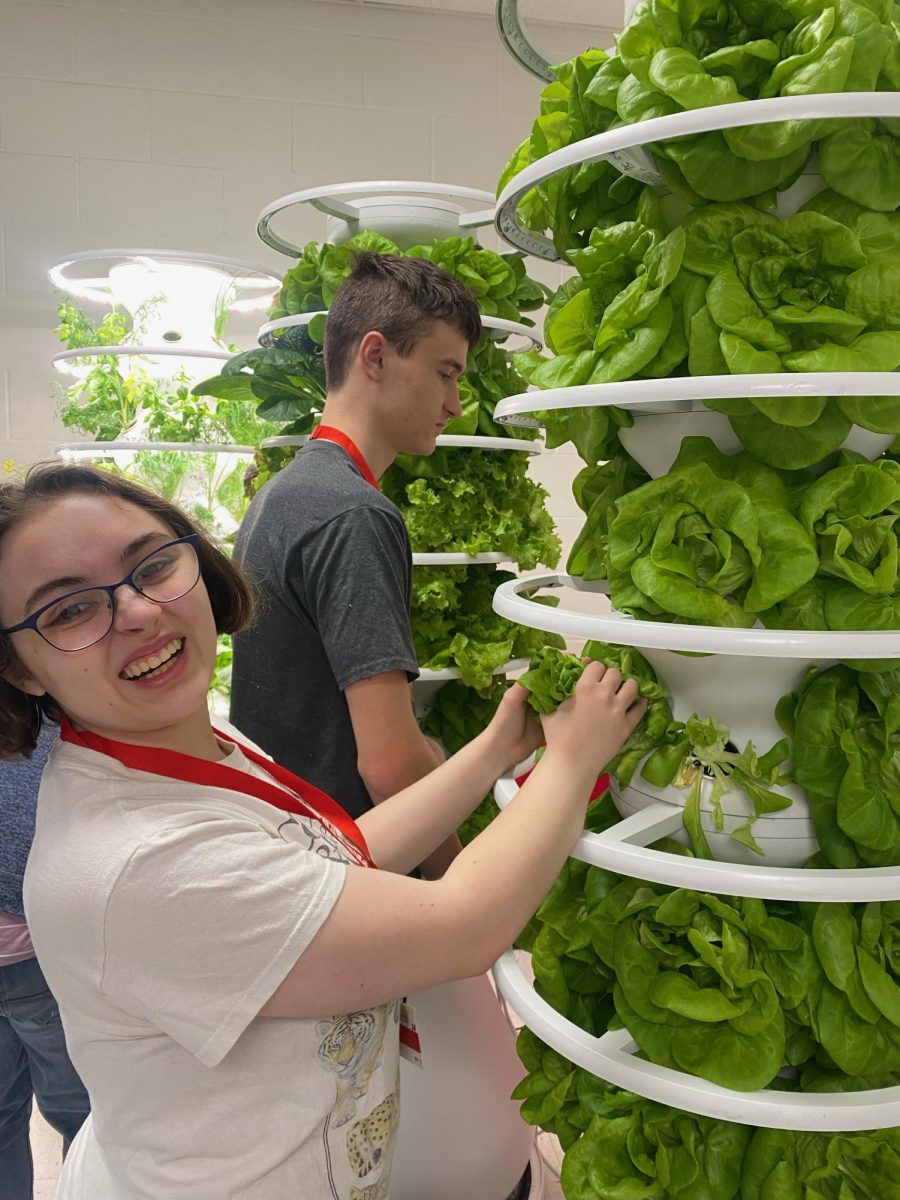 Junior Akaya Bodie and sophomore Brayden Corliss tend to the lettuce growing in the cafeteria.