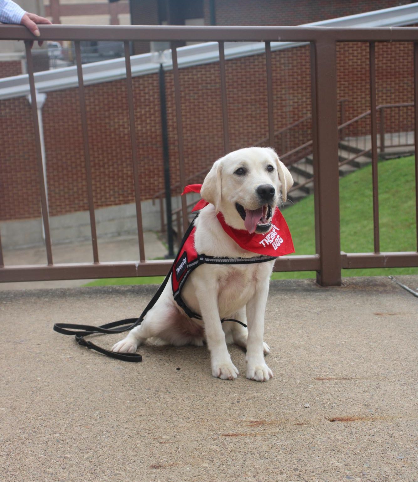 Barney posing for a picture outside the Fieldhouse May 22 before being introduced to the school at the Pup Rally.