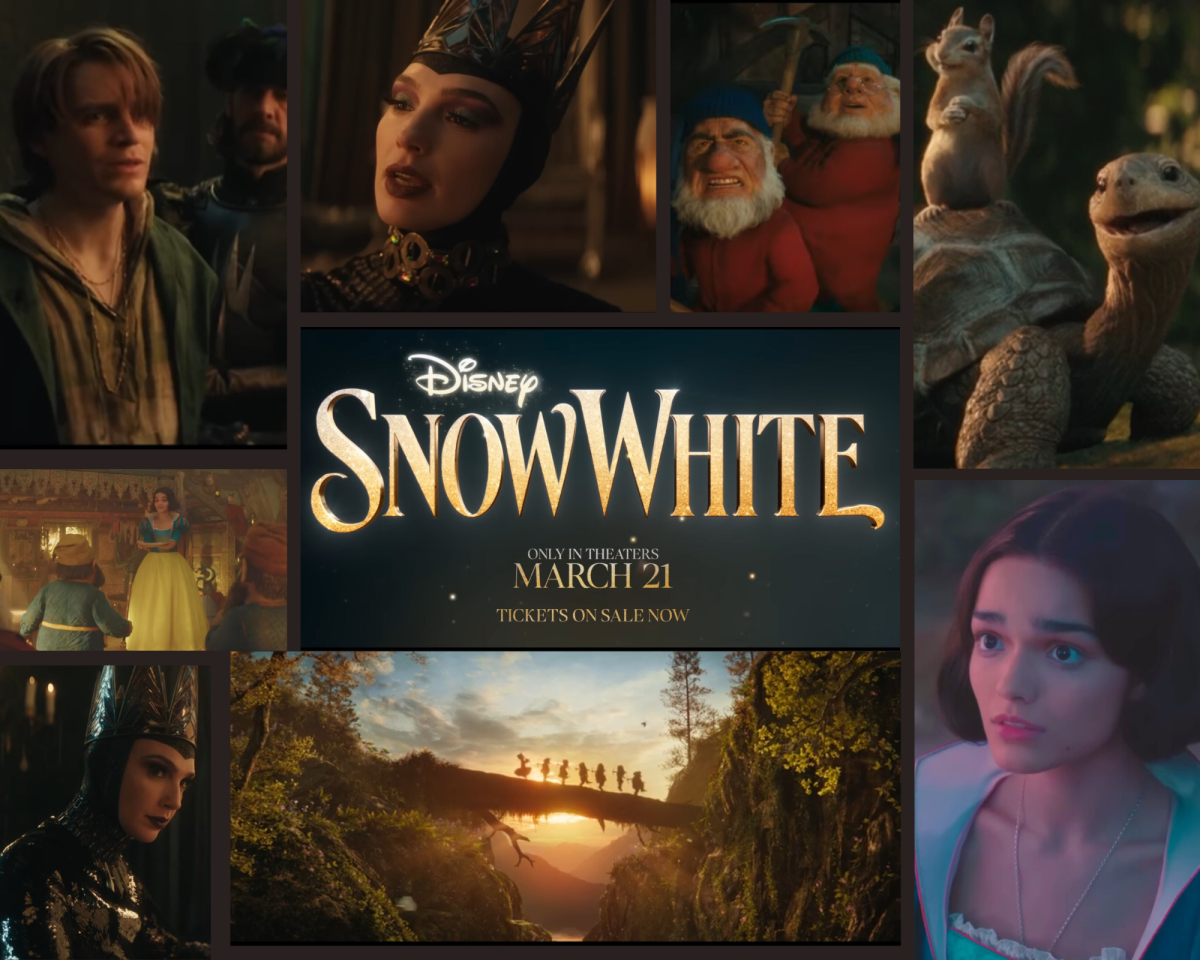 Graphic created on Canva using screenshots from movie clip previews. 