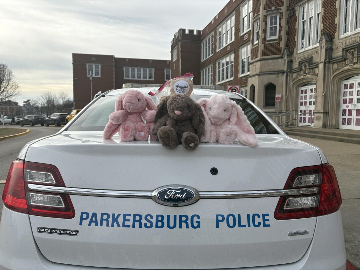 A display of stuffed animals that are in resource officer Ryan Bargerstock's car on Jan. 8.