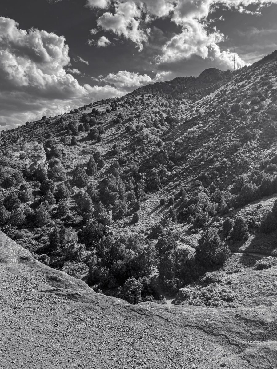 First place photography, sophomore Anabelle Schmidt